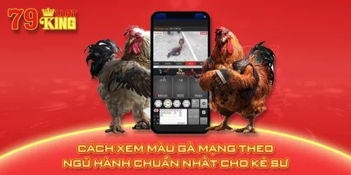 Cách Xem Màu Gà Mạng Theo Ngũ Hành Chuẩn Nhất Cho Kê Sư