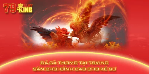 Đá Gà Thomo Tại 79KING – Sân Chơi Đỉnh Cao Cho Kê Sư