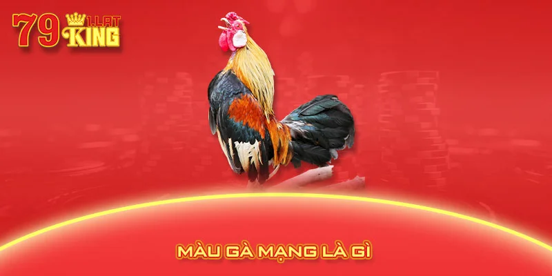 Màu gà mạng là gì 